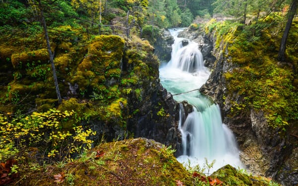 Heart Over Mind - A Manifesto for the Revolution of the Hearts